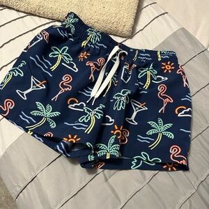 Men’s Chubbies “ The Neon Lights” swim trunks